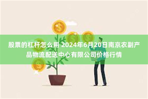 股票的杠杆怎么用 2024年6月20日南京农副产品物流配送中心有限公司价格行情