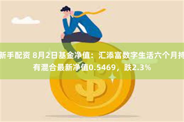 新手配资 8月2日基金净值：汇添富数字生活六个月持有混合最新净值0.5469，跌2.3%