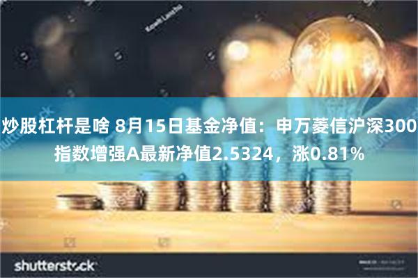 炒股杠杆是啥 8月15日基金净值：申万菱信沪深300指数增强A最新净值2.5324，涨0.81%