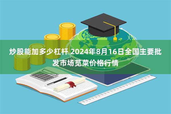 炒股能加多少杠杆 2024年8月16日全国主要批发市场苋菜价格行情