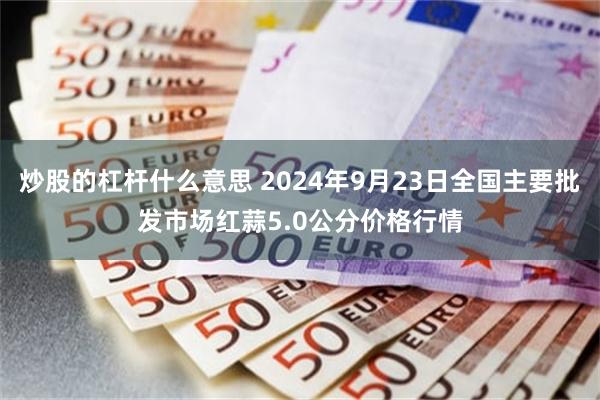 炒股的杠杆什么意思 2024年9月23日全国主要批发市场红蒜5.0公分价格行情