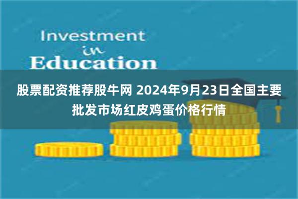 股票配资推荐股牛网 2024年9月23日全国主要批发市场红皮鸡蛋价格行情