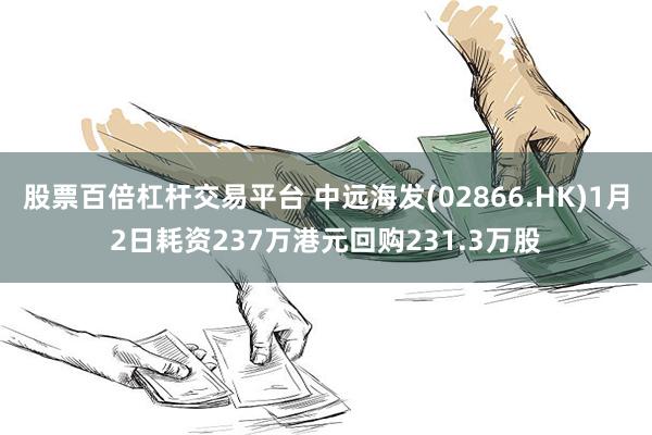 股票百倍杠杆交易平台 中远海发(02866.HK)1月2日耗资237万港元回购231.3万股