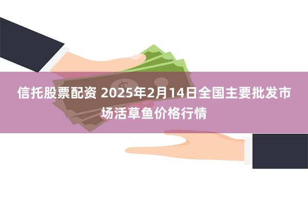 信托股票配资 2025年2月14日全国主要批发市场活草鱼价格行情