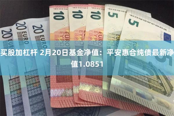 买股加杠杆 2月20日基金净值：平安惠合纯债最新净值1.0851